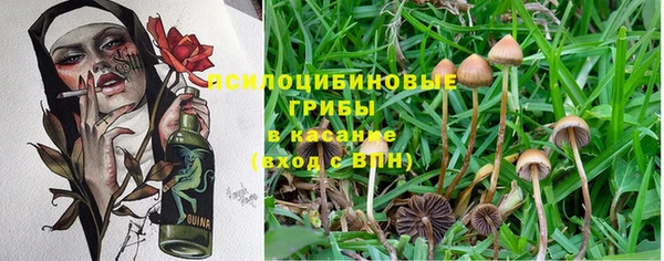 мяу мяу кристалл Алексин