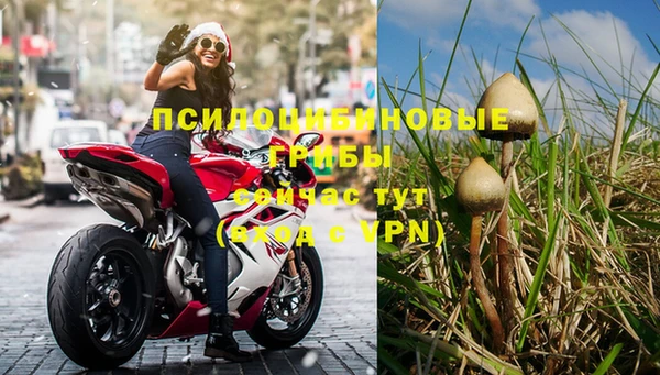 гидропоника Алексеевка