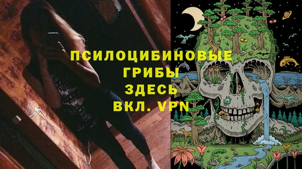 мяу мяу кристалл Алексин