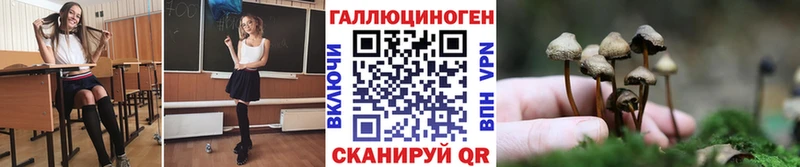 Псилоцибиновые грибы Psilocybe  МЕГА онион  Любань  что такое  